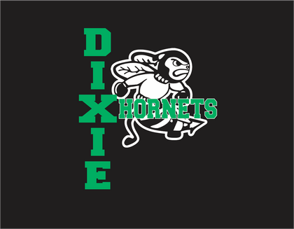 Dixie Wrestling