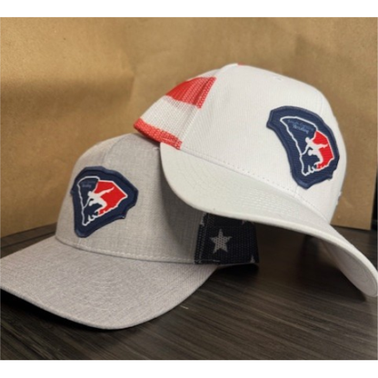 South Carolina Wrestling Hat