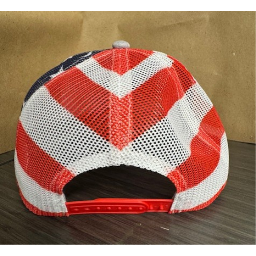 South Carolina Wrestling Hat