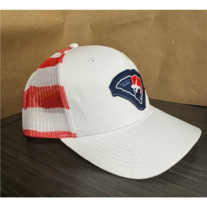 South Carolina Wrestling Hat