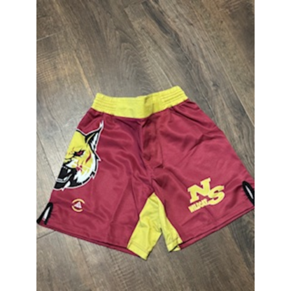 NS Shorts