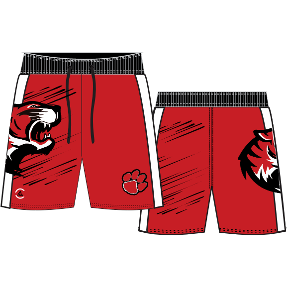 Blue Ridge Fight Shorts